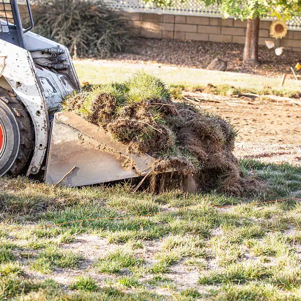 Land Clearing Services Process