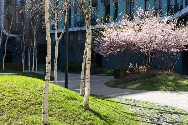 Landscape Design