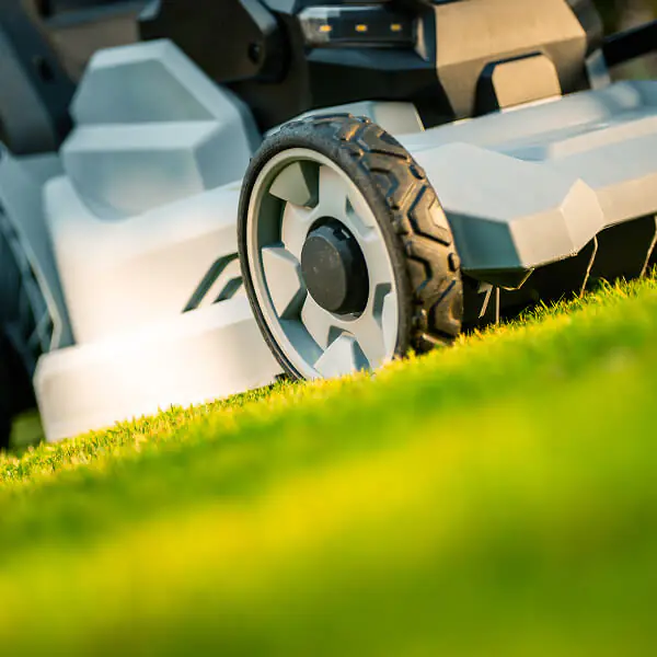 Lawn Care Services Feature