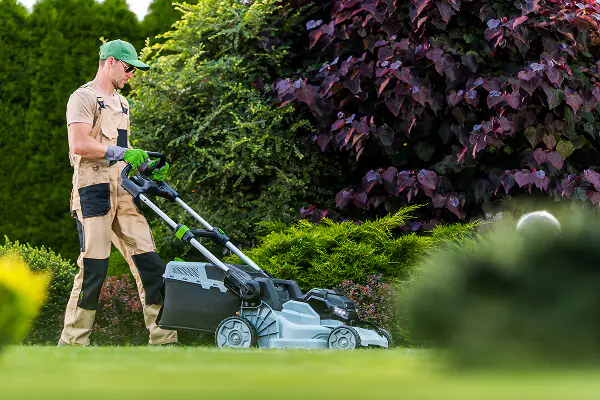 Lawn Care Services
