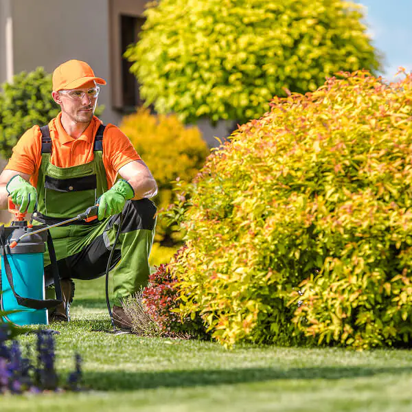 Lawn Care Services Process