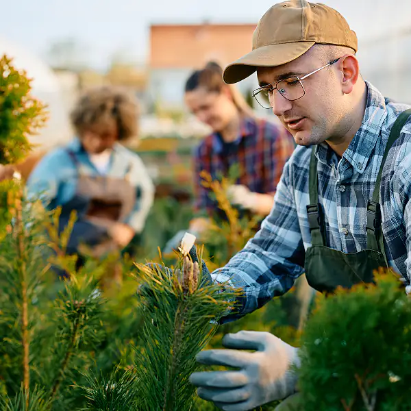 Property Maintenance Feature