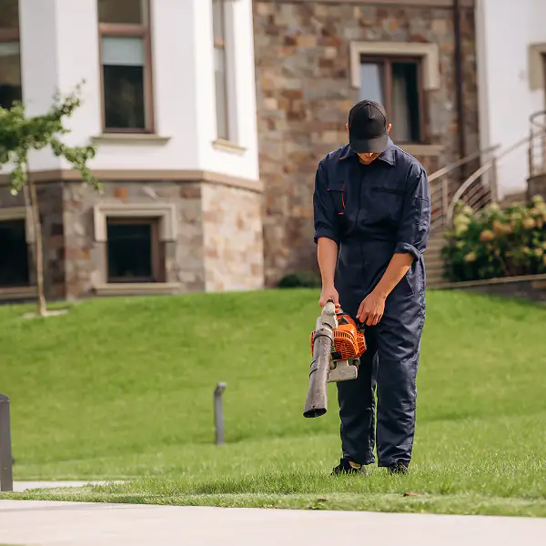 Property Maintenance Process