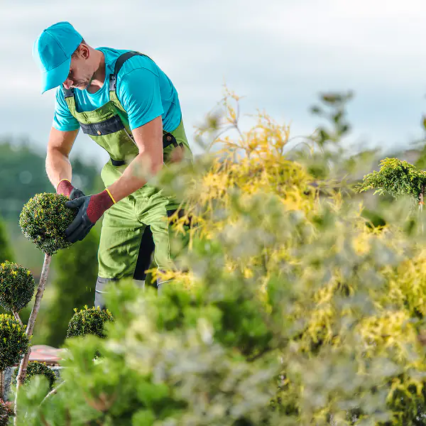 Tree & Shrub Care Feature